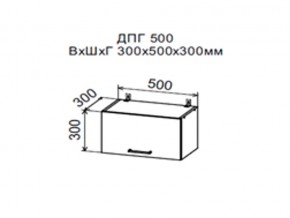Шкаф верхний ДПГ500 горизонтальный в Карабаше - karabash.магазин96.com | фото