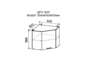 Шкаф верхний ДПУ600 угловой в Карабаше - karabash.магазин96.com | фото